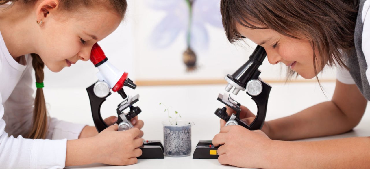 микроскопы детские в Кемерово